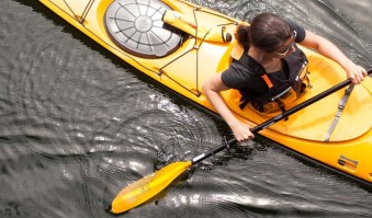 Beginners Guide To Paddling