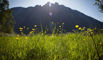 Wildflower hikes