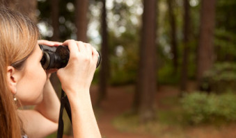 Northwest wildlife hikes