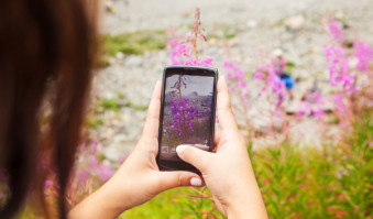 Northwest Instagram-worthy Hikes