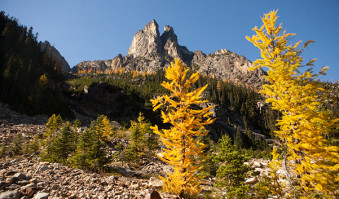 Autumn’s True Gold Hiking to See Washington’s Alpine Larches-alpine larch hikes