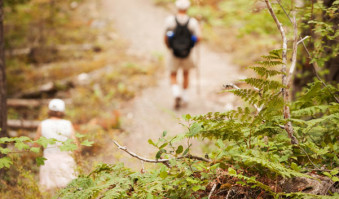Fall Hikes in Washington: 7 Trail Ideas for Seeing Fall Colors This Season