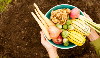 The ABCs of Northwest Fall Produce