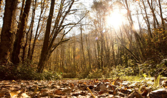 late-season hikes