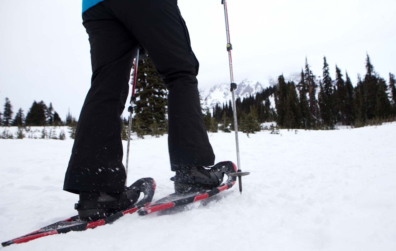 snowshoeing in washington