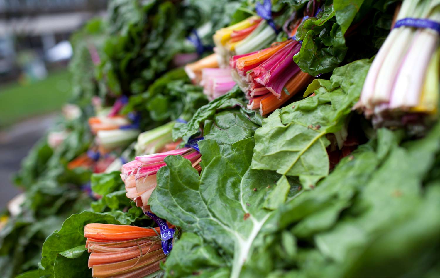 spring salad recipes