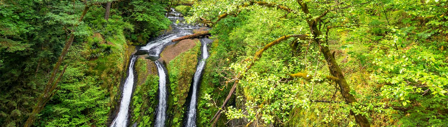 spring waterfall hikes